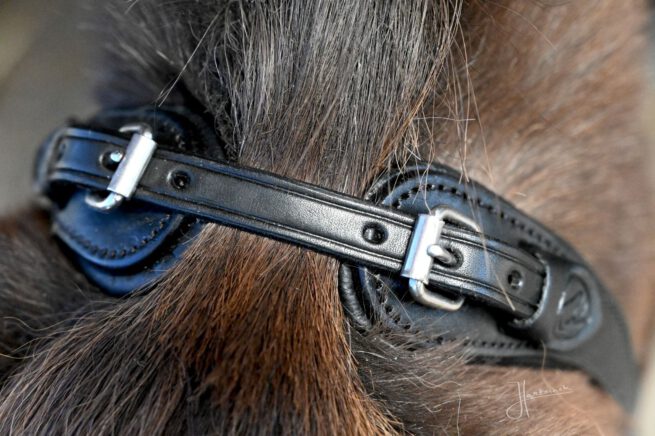 EDIX ED2, model Grace side pull hoofdstel - Afbeelding 7