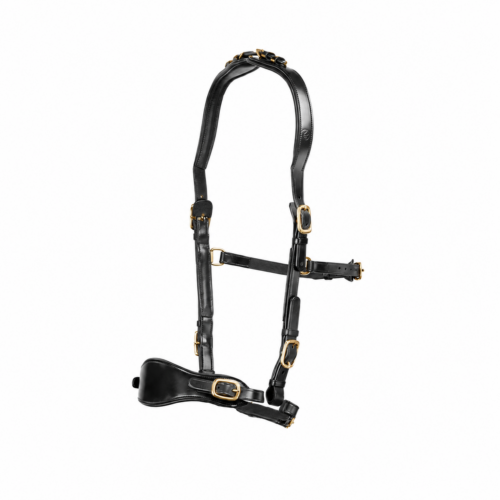 Blaze (black leather-brass fittings)