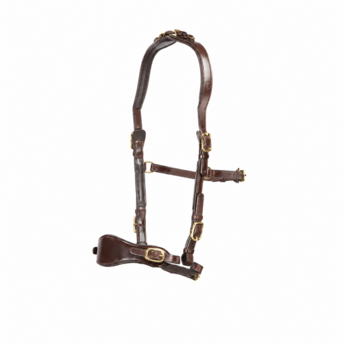 Bronze (brown leather-brass fittings)