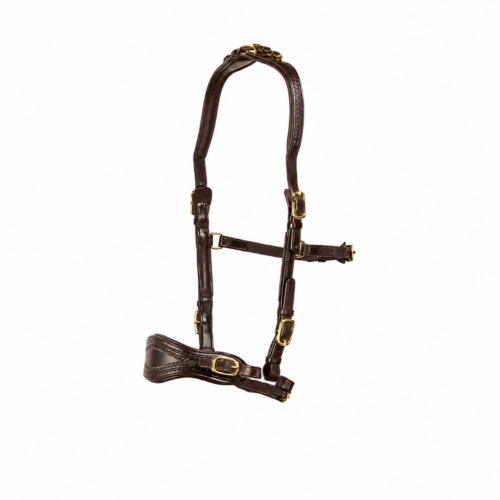 Bronze (brown leather-brass fittings)