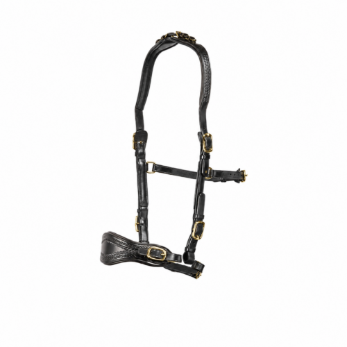 Blaze (black leather-brass fittings)