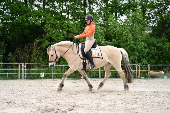 EDIX Ishya flexibel dressuur zadel - Afbeelding 5