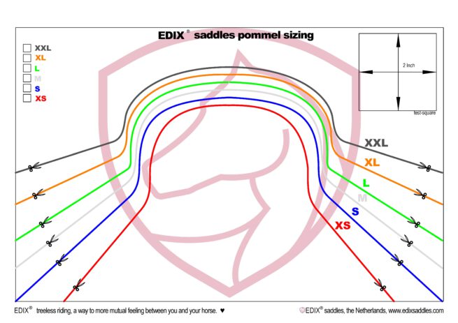 EDIX® pommel with horn - Image 3