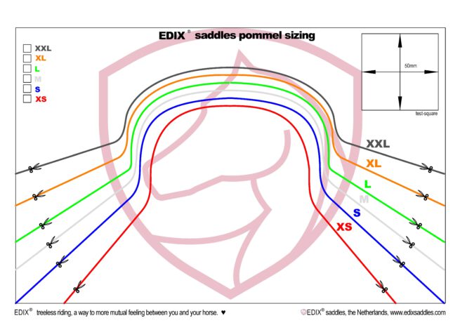 EDIX® pommel with horn - Image 4