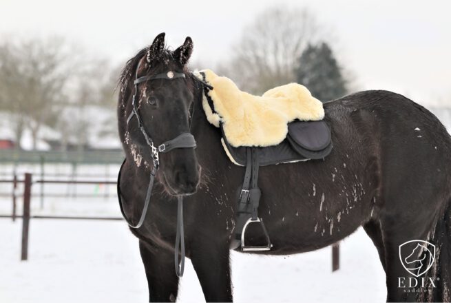 EDIX Signor Merino sheepskin Barebackpad - Image 35