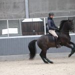 EDIX Tariq soft tree dressage saddle