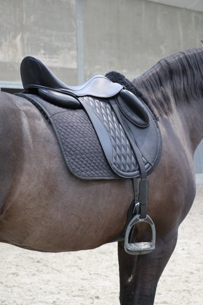 EDIX Tariq soft tree dressage saddle