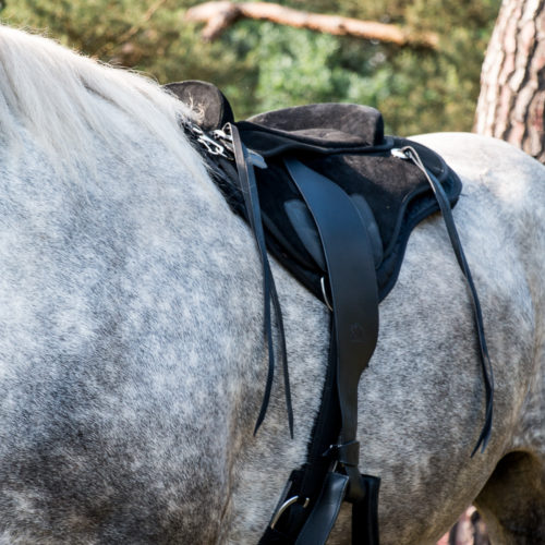 EDIX Broncho barebacksaddlepad, complete