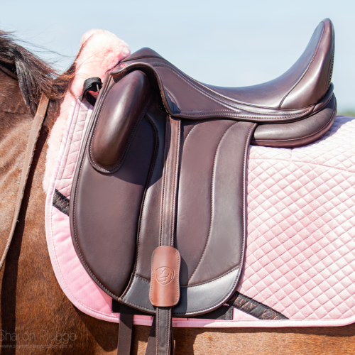 Dressage