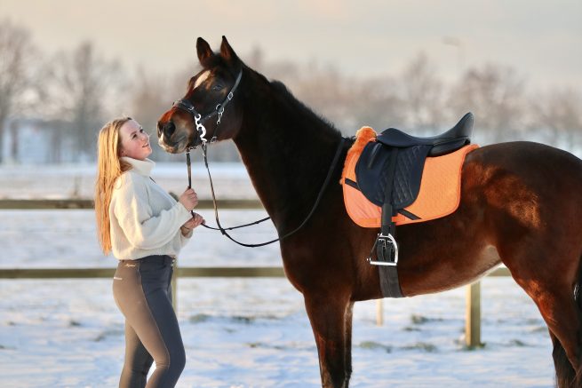 EDIX Uni dressuur Merino scheepkin 8-pocket saddle pad