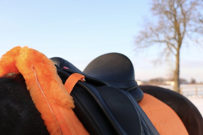 EDIX Uni dressuur Merino scheepkin 8-pocket saddle pad