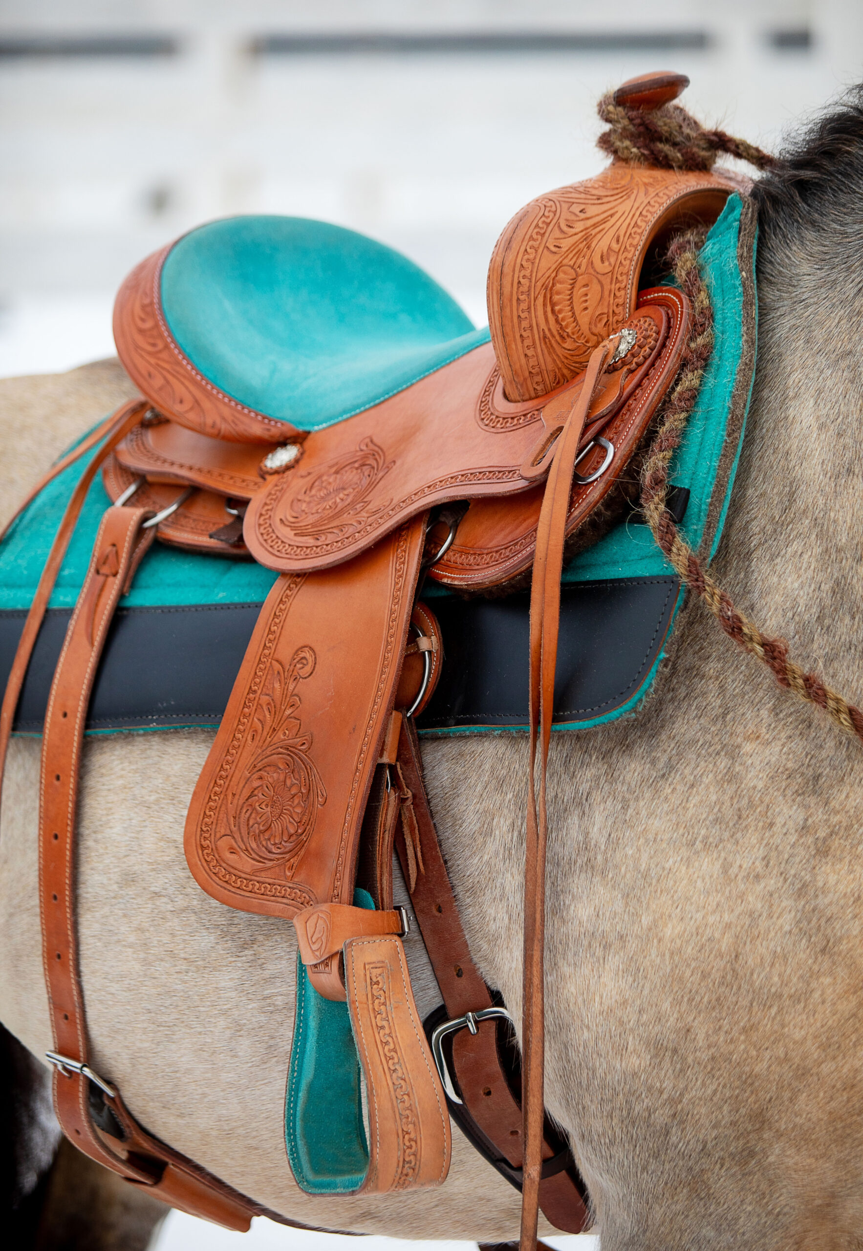 Burgundy Dressage Saddle