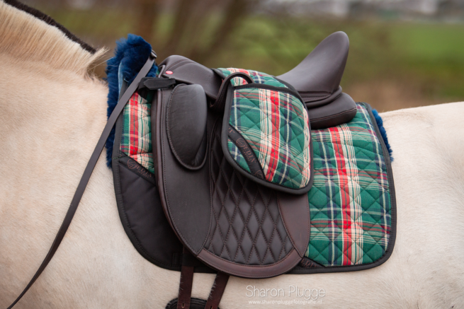 EDIX DR limited edition 8-pocket Merino pad - Afbeelding 2