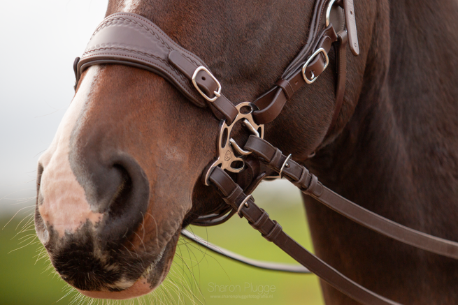 EDIX noseband Jazz - Image 8