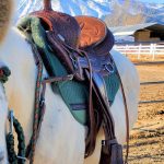EDIX Oakley boomloos Western zadel