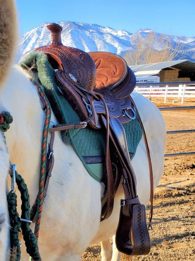 EDIX Oakley boomloos Western zadel