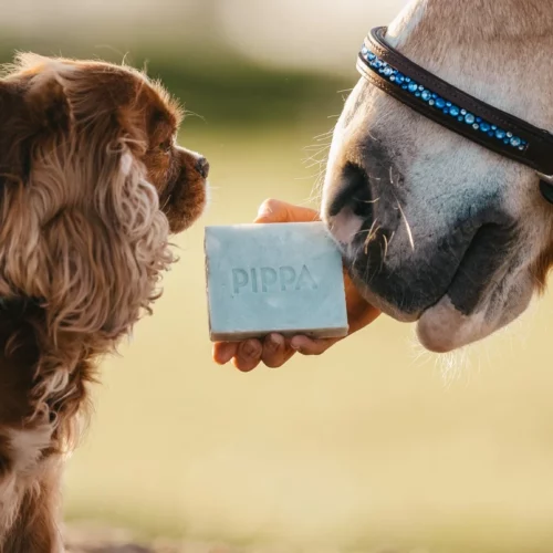 PIPPA Shampoobar