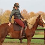 EDIX Tudor soft tree dressage saddle