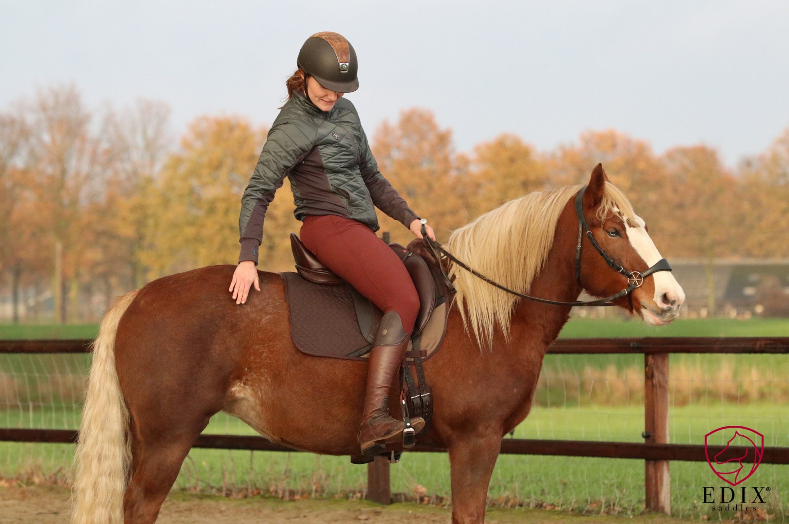 Tudor tree dressage saddle EDIX Saddles