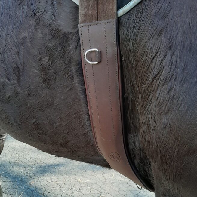 EDIX anatomic leather dressage girth