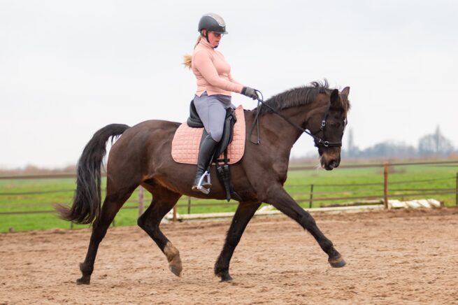 EDIX Zyba flexibel dressuurzadel - Afbeelding 7